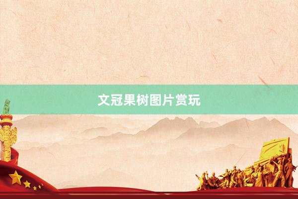 文冠果树图片赏玩